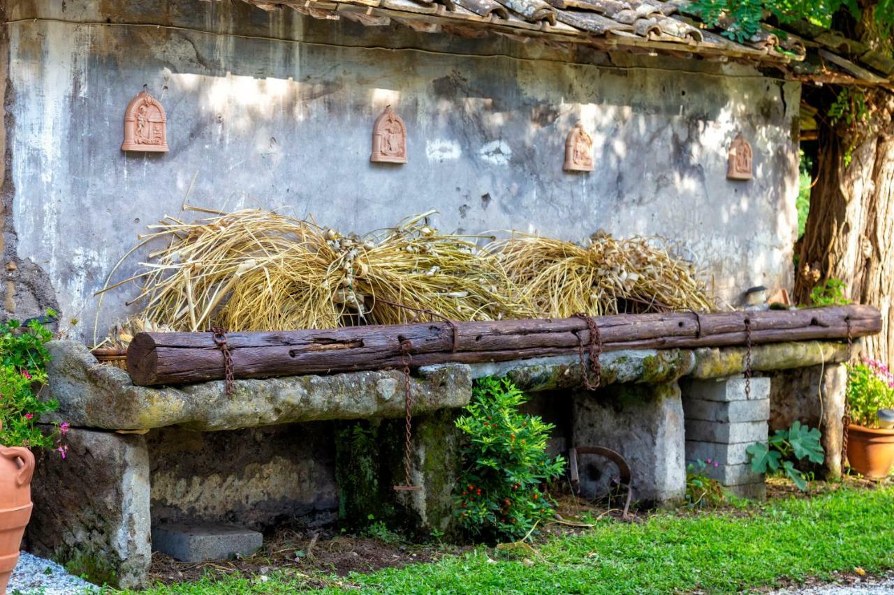 Il Castelletto Del Salamaro Holiday home Viterbo